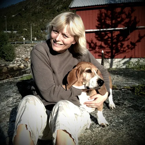 Basset Artesiano Normando