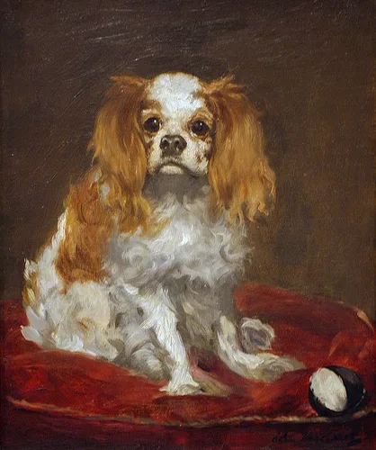 French Spaniel