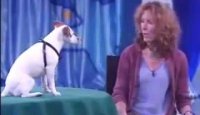 The Best Dog Trainer on the World with the Smartest Dog on the World! - Video.flv