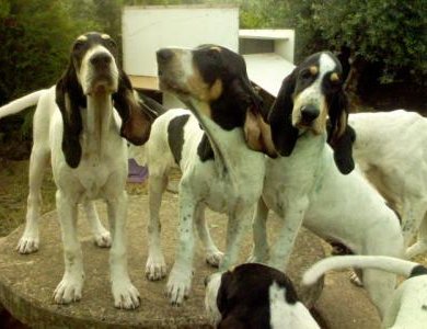 Fonte/Autor: Ptes-caring.com,