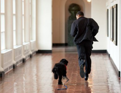 Fonte/Autor: Pete Souza, Licença: PD