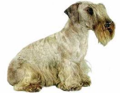Fonte/Autor: Hund.ch,